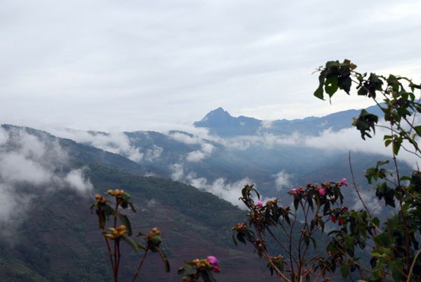 仙人山