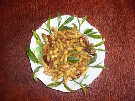 双江美食——油炸茶蜂蛹